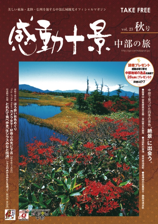 Brochure Collection Go Central Japan